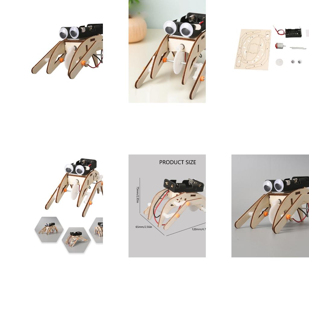 Mechanisch insectenfysica-expe - Science Project Physics recensie en prijs